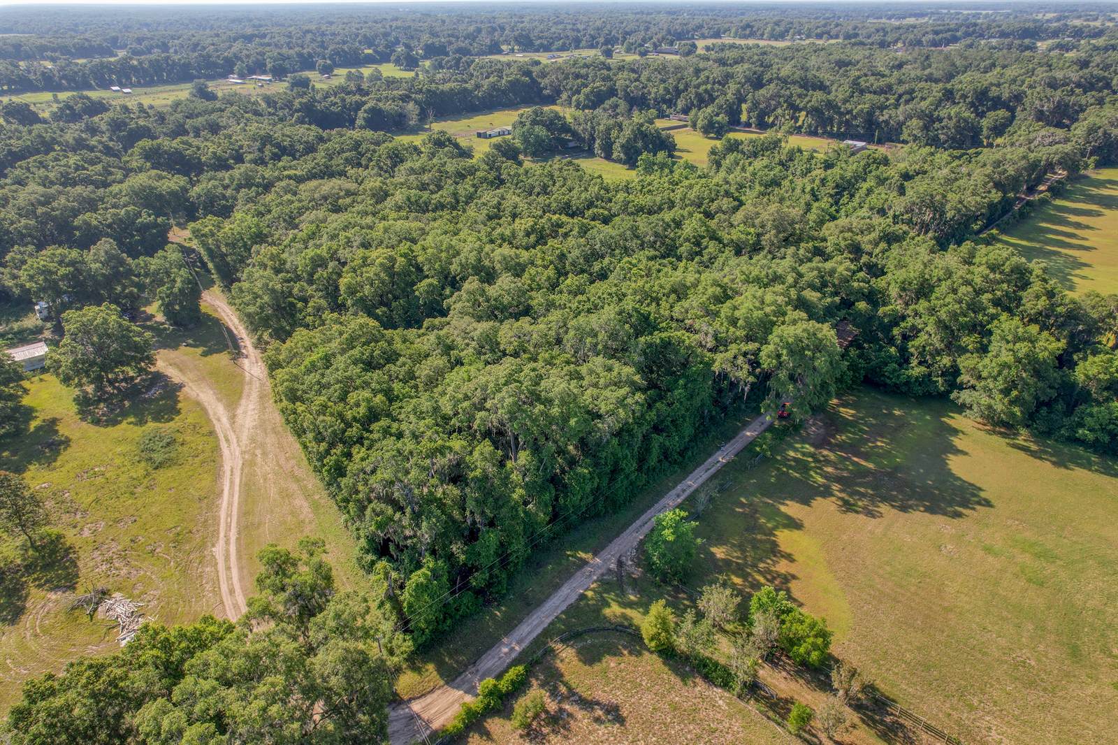 TBD NE 10TH Court, Citra, FL 32113