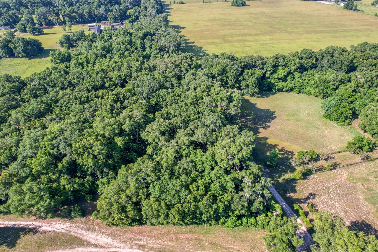 TBD NE 10TH Court, Citra, FL 32113