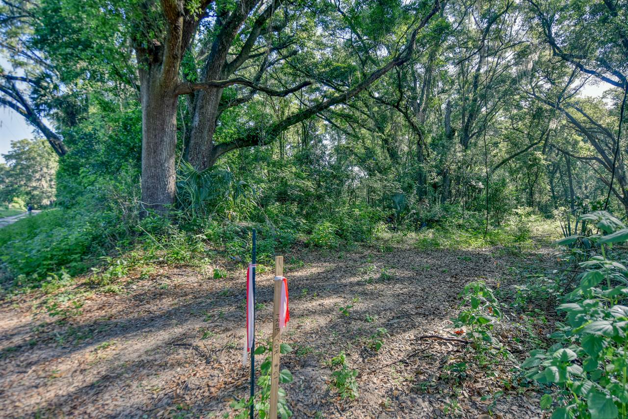 TBD NE 10TH Court, Citra, FL 32113