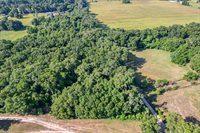 TBD NE 10TH Court, Citra, FL 32113