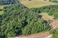 TBD NE 10TH Court, Citra, FL 32113