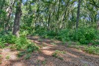 TBD NE 10TH Court, Citra, FL 32113