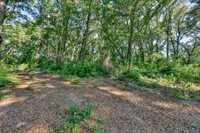 TBD NE 10TH Court, Citra, FL 32113