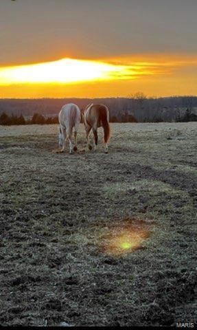 238 Hill Street, Crocker, MO 65452