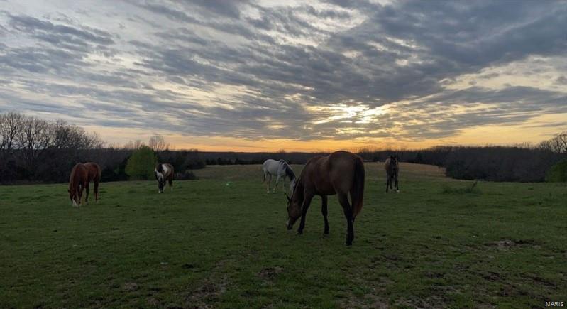 238 Hill Street, Crocker, MO 65452