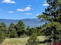 TBD (Lot 552) N Badger Trail, Ridgway, CO 81432