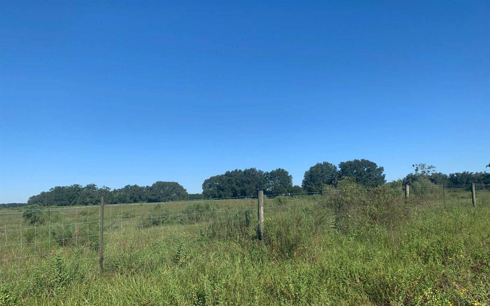 TBD 125th Road, McAlpin, FL 32062