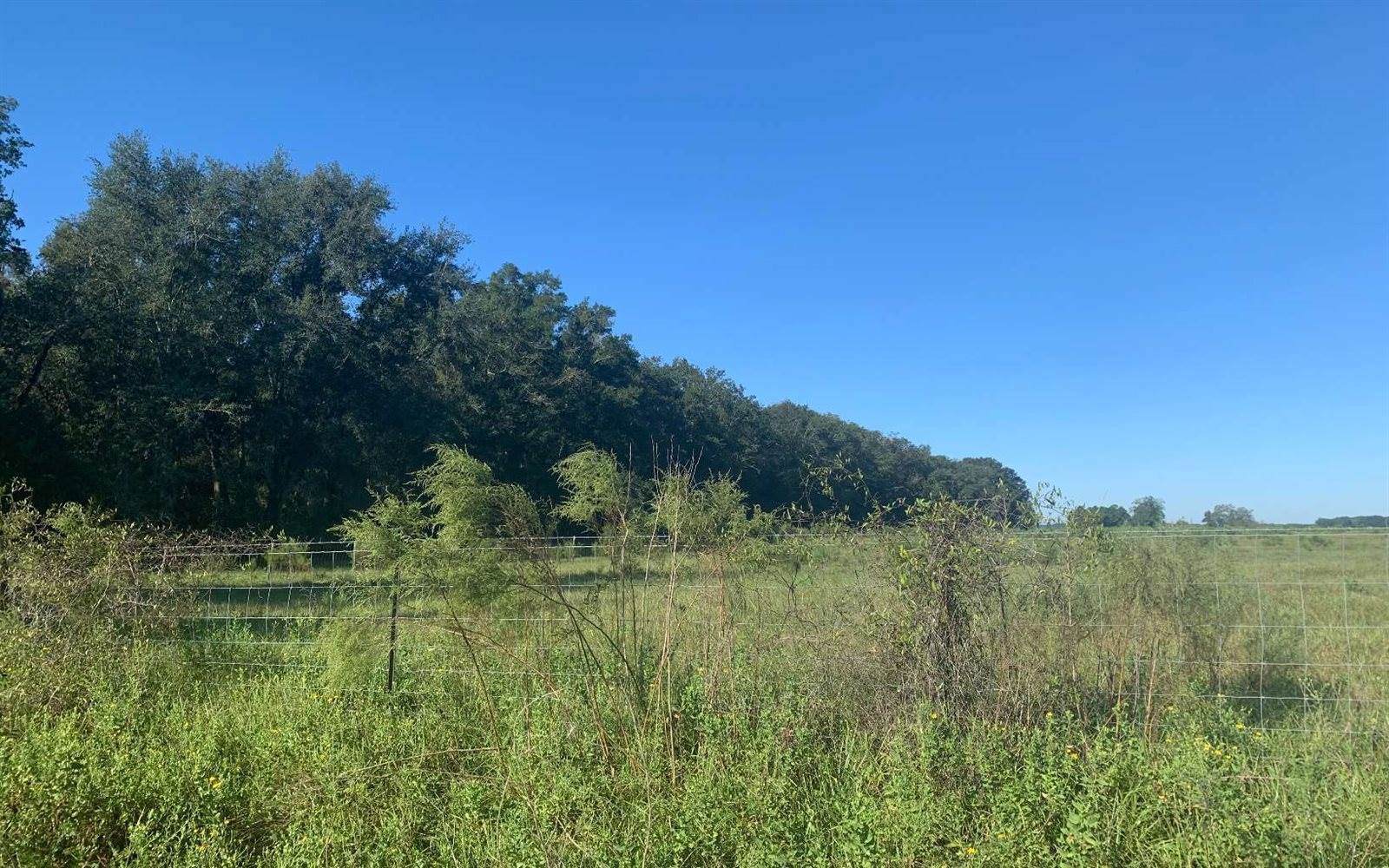 TBD 125th Road, McAlpin, FL 32062