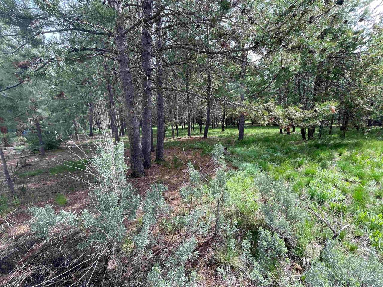 203 Mcleod Ln, Donnelly, ID 83615