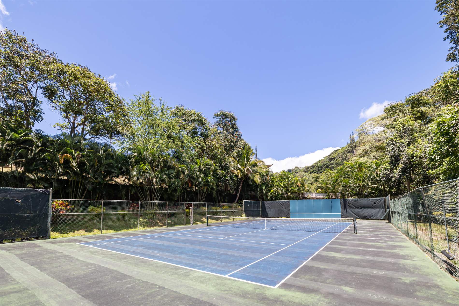 38 S Judd St, Honolulu, HI 96817