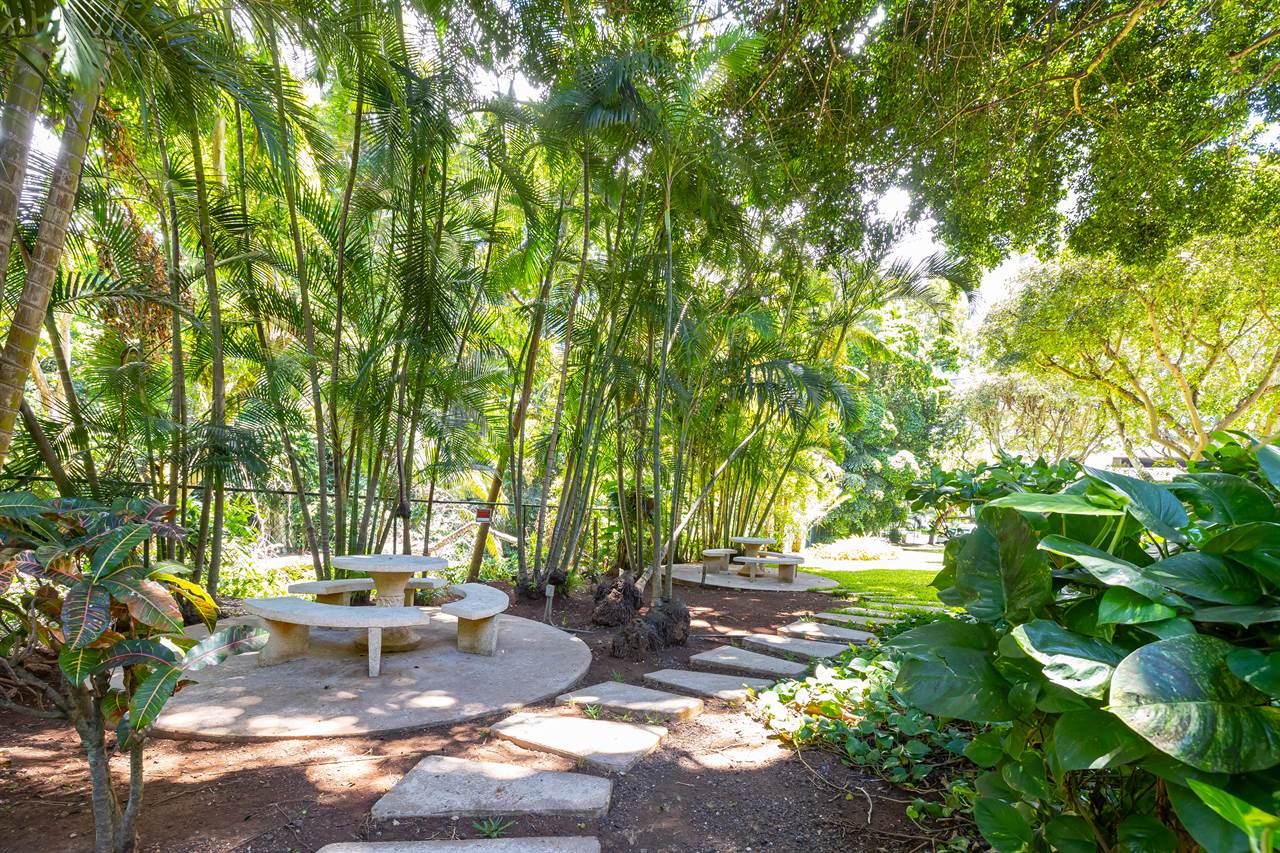 38 S Judd St, Honolulu, HI 96817