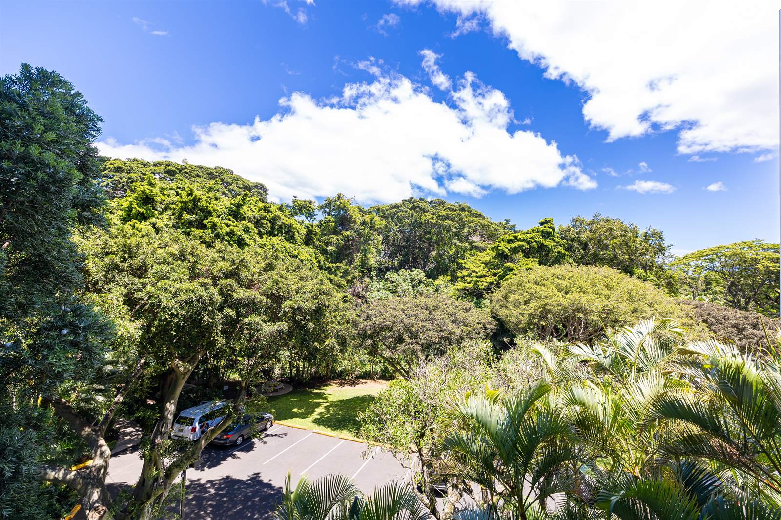 38 S Judd St, Honolulu, HI 96817