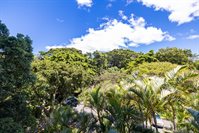 38 S Judd St, Honolulu, HI 96817
