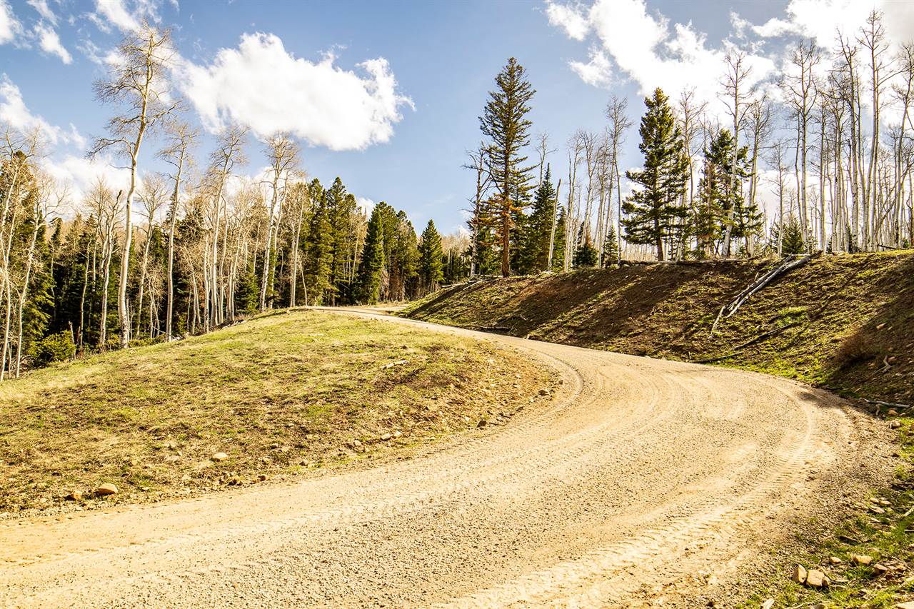 LOT 8A Black Bear Trail, Ridgway, CO 81432