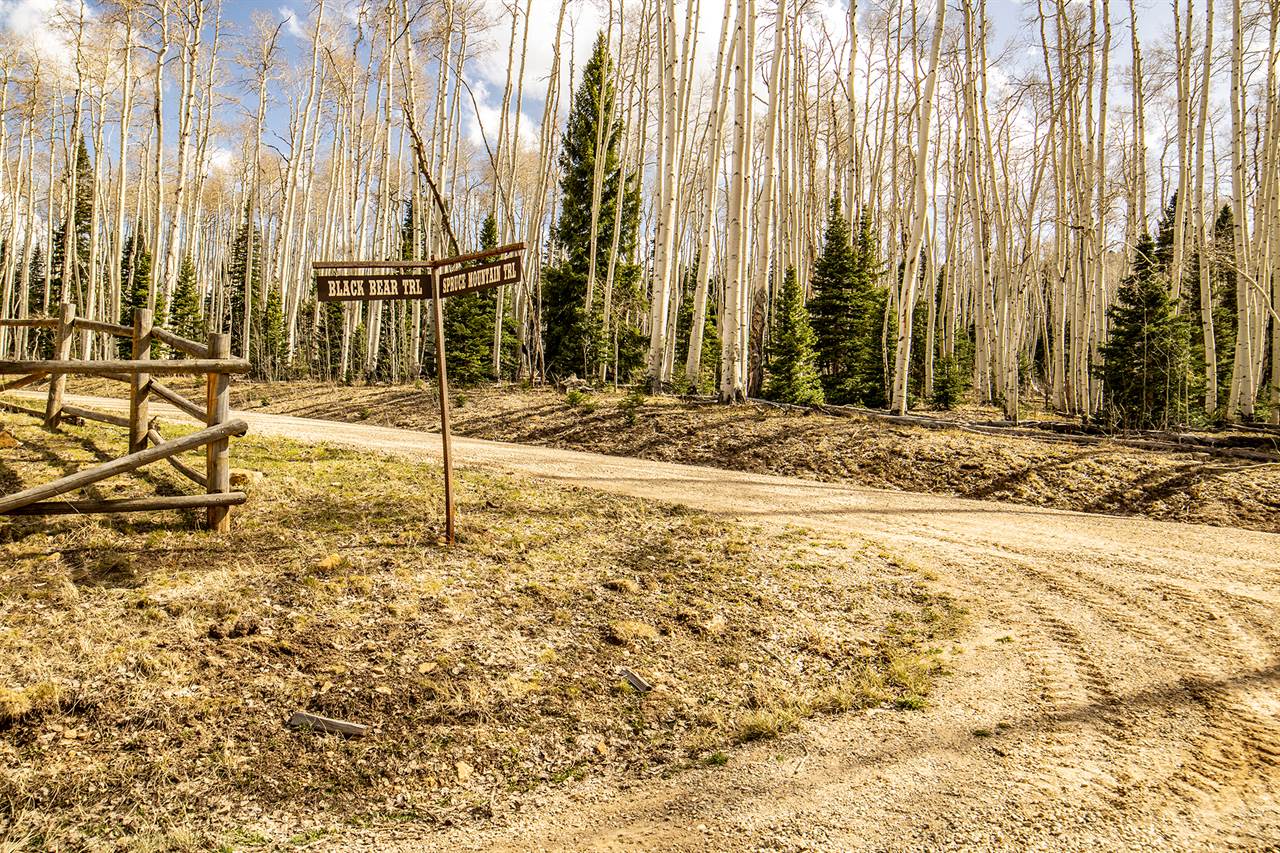 LOT 8A Black Bear Trail, Ridgway, CO 81432