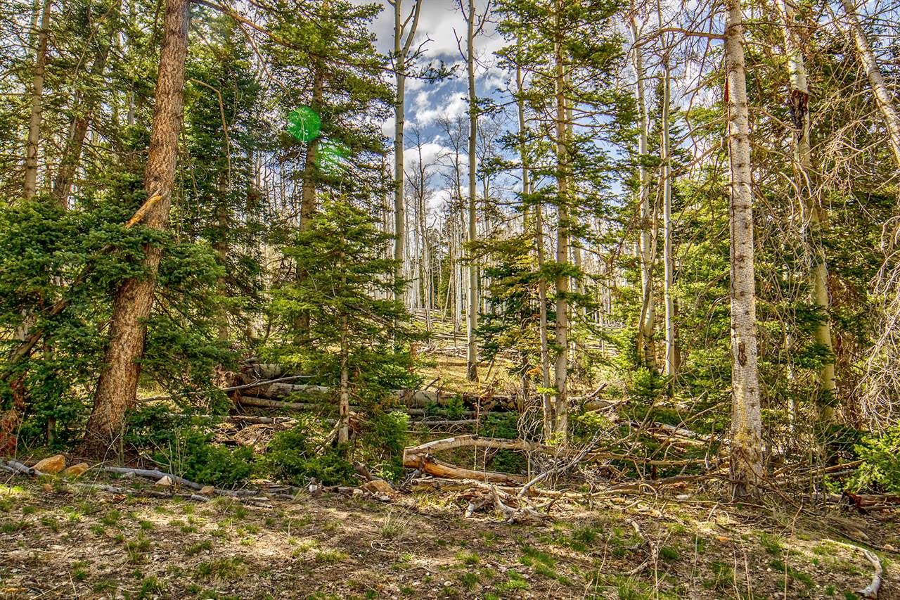 LOT 8A Black Bear Trail, Ridgway, CO 81432