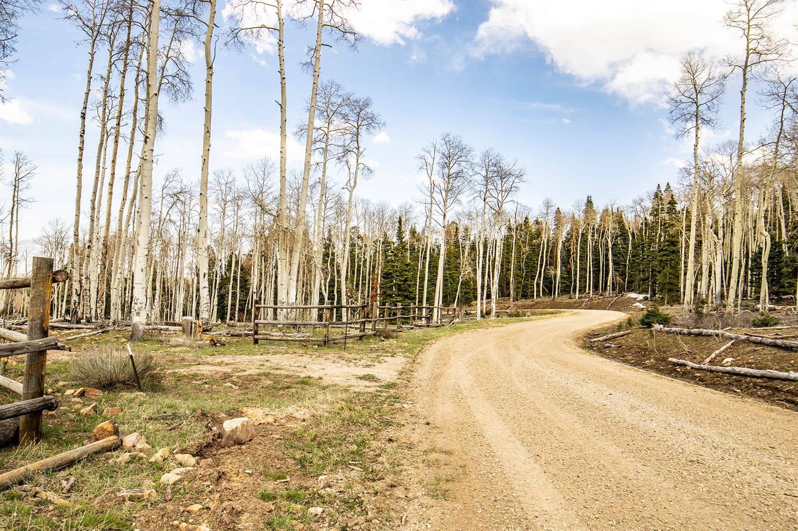 LOT 8A Black Bear Trail, Ridgway, CO 81432