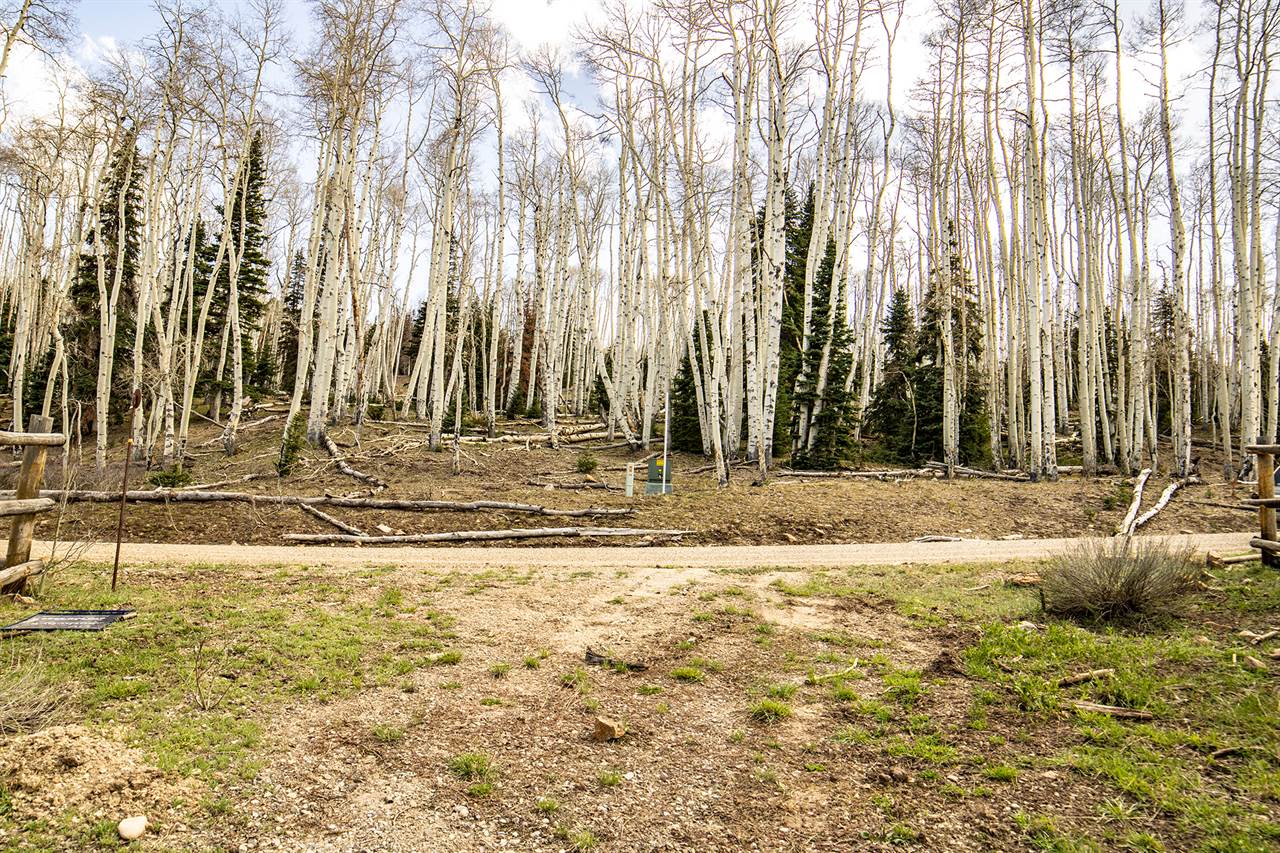 LOT 8A Black Bear Trail, Ridgway, CO 81432