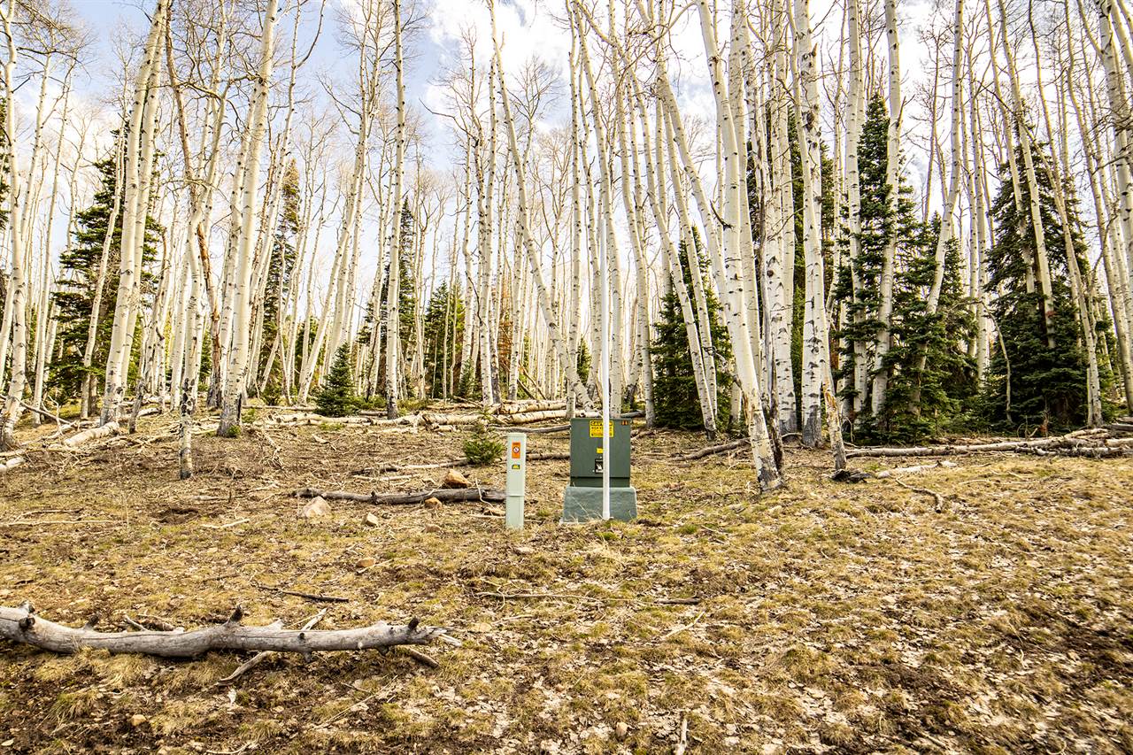 LOT 8A Black Bear Trail, Ridgway, CO 81432