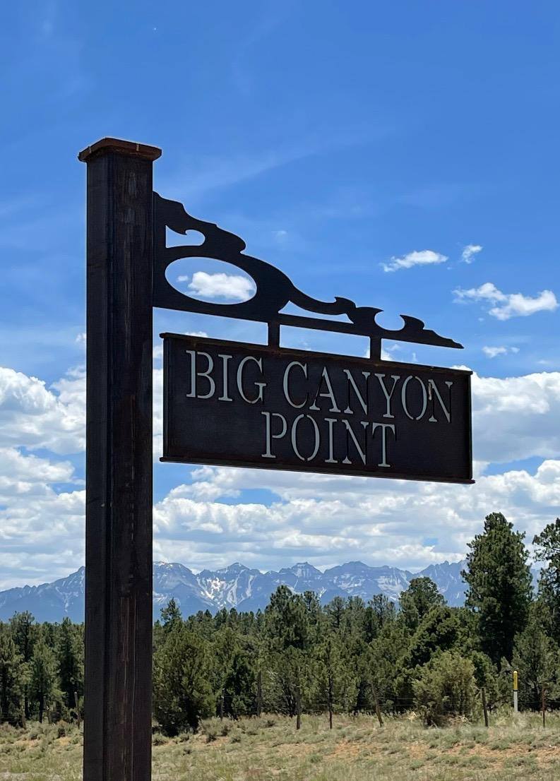141 Big Canyon Point, Ridgway, CO 81432