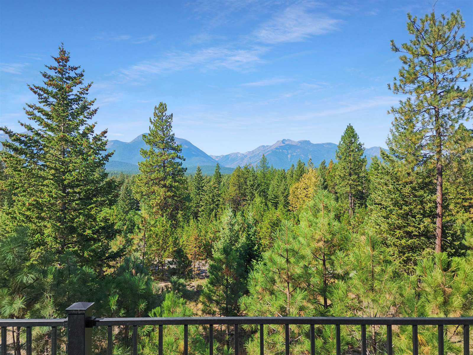 43 Mount Snowy Drive, Libby, MT 59923