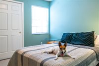 4507 S Oak Dr #P22, Tampa, FL 33611