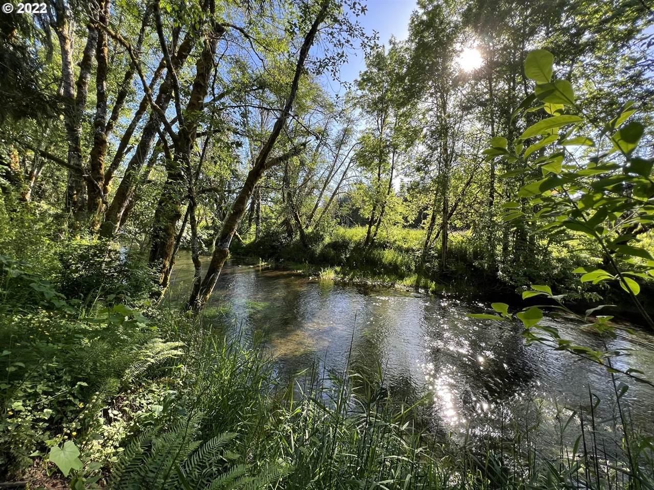 54375 Timber Rd, Vernonia, OR 97064