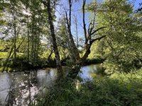 54375 Timber Rd, Vernonia, OR 97064