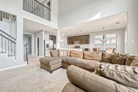 8222 Solitude Hill Lane, Richmond, TX 77407