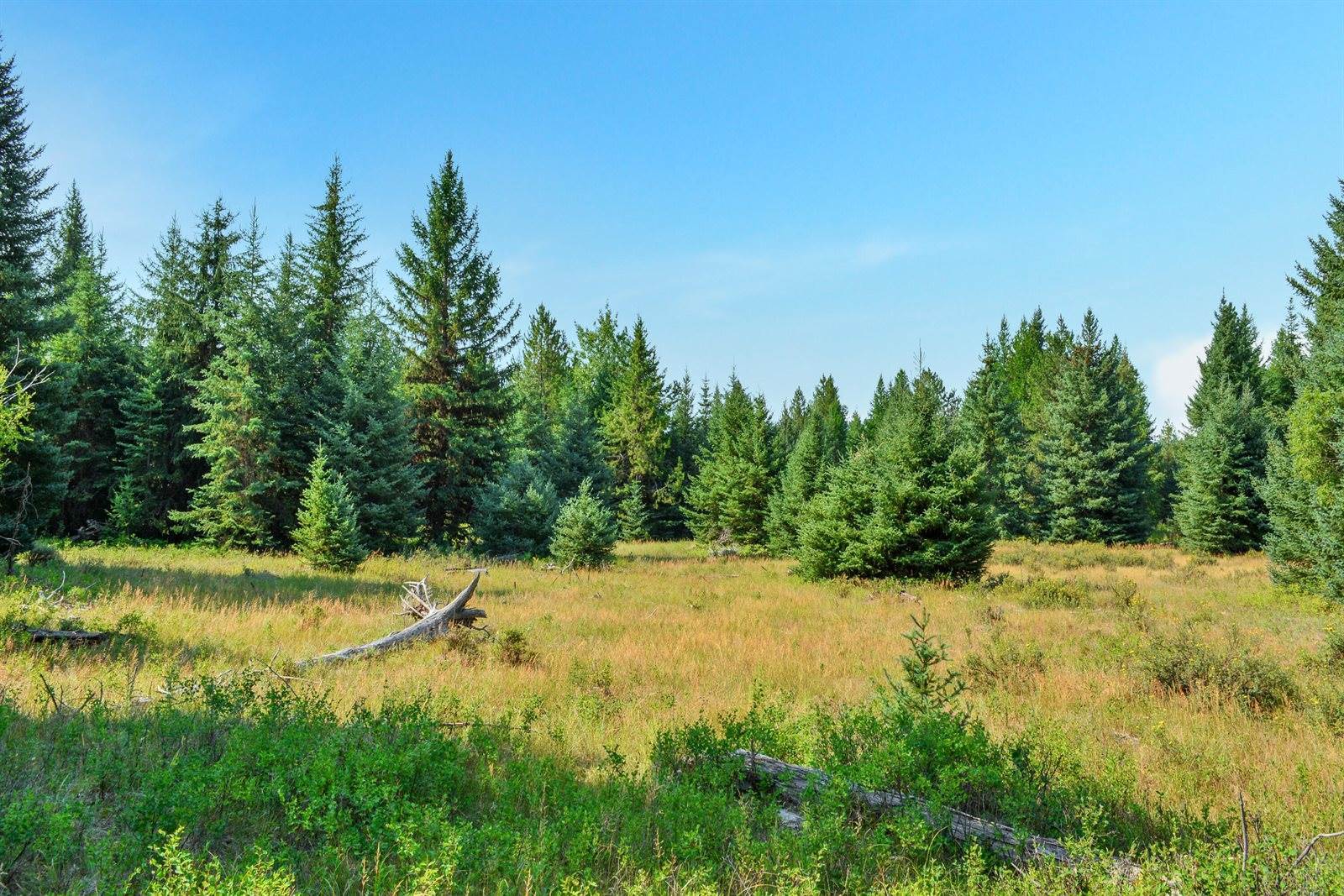 Lot 25 Meadow Peak Subdivision, Libby, MT 59923