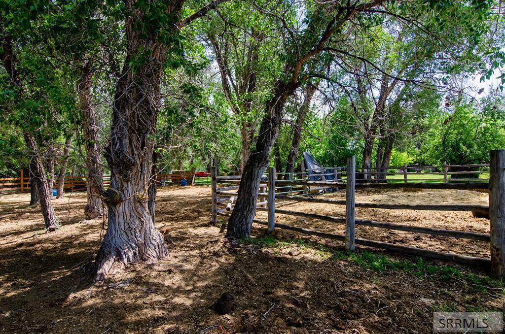 4190 East 460 N, Rigby, ID 83442