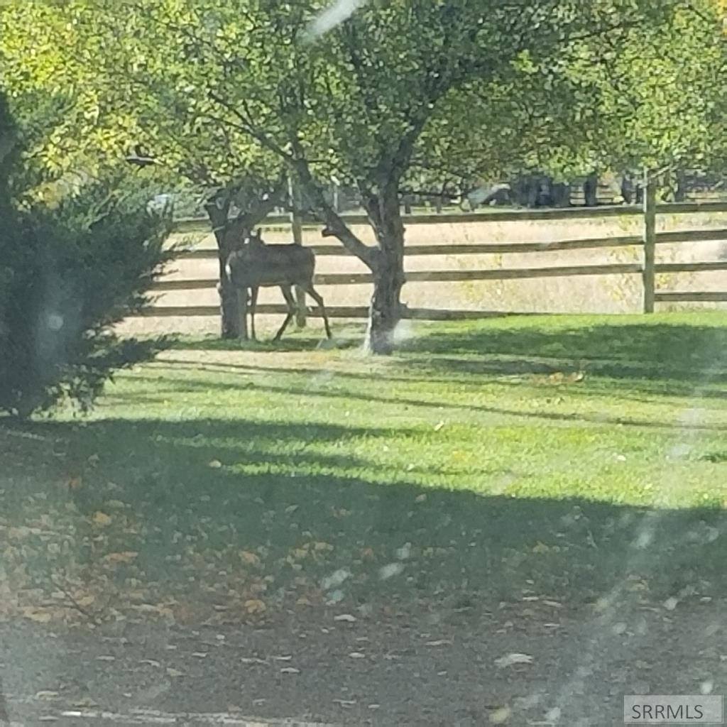 4190 East 460 N, Rigby, ID 83442