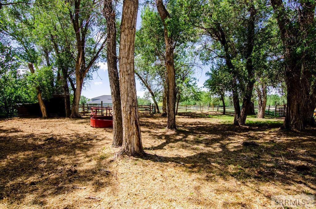 4190 East 460 N, Rigby, ID 83442