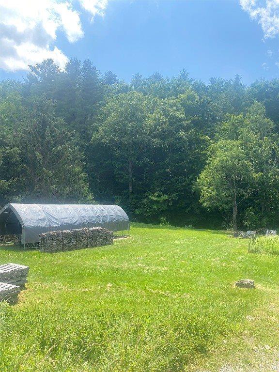 1220 Tracy Creek Road, Vestal, NY 13850