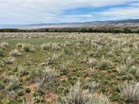 TBD Tract 2 County Rd 22, Colona, CO 81403