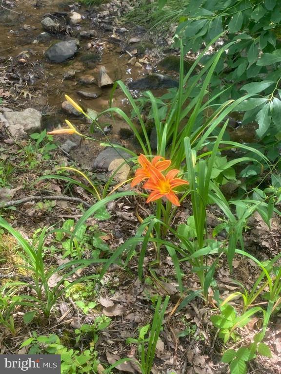 505 Quail Drive, Winchester, VA 22602