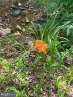 505 Quail Drive, Winchester, VA 22602