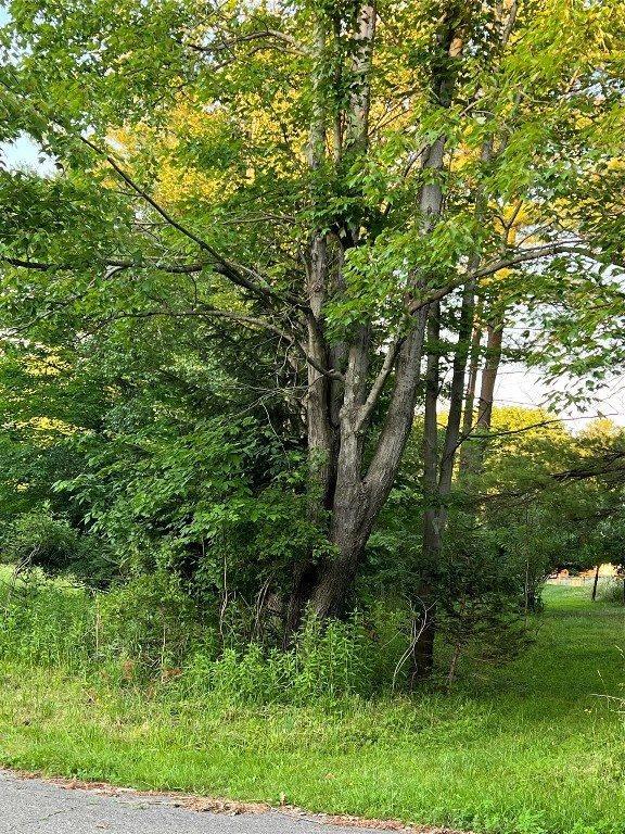 517 African Road, Vestal, NY 13850