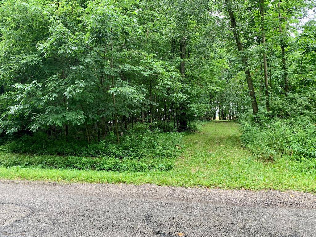 Township Road 1101, Nova, OH 44859