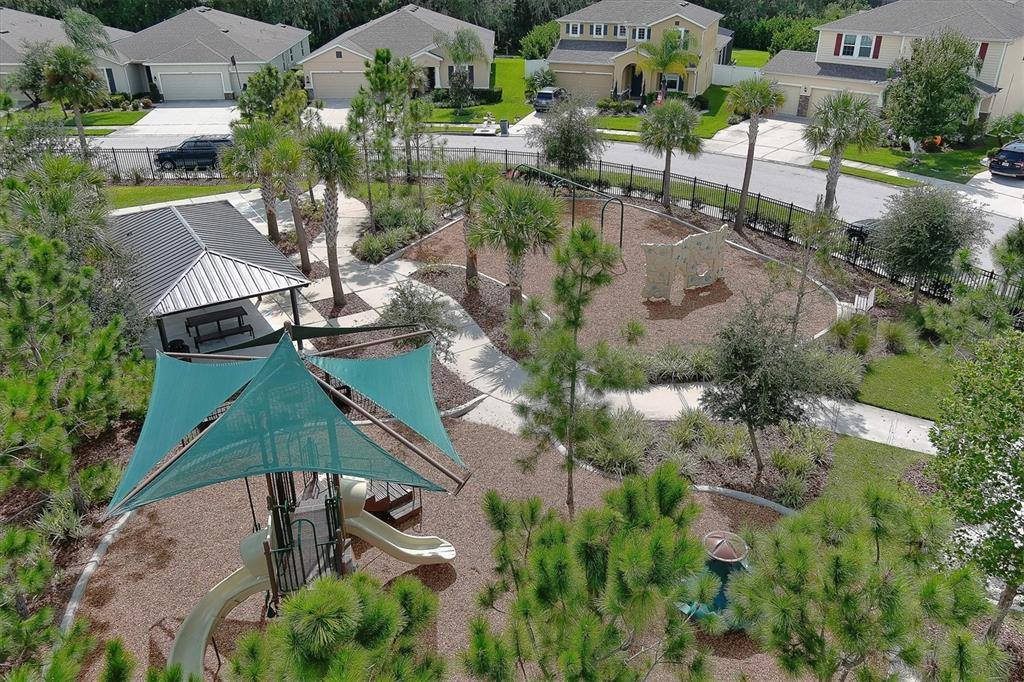 15637 Trinity Fall Way, Bradenton, FL 34212