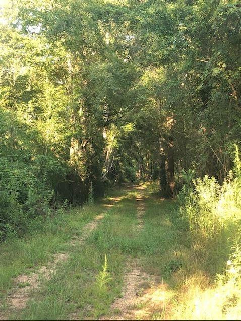 1060 MS 570 E, Mccomb, MS 39648