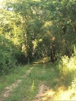 1060 MS 570 E, Mccomb, MS 39648