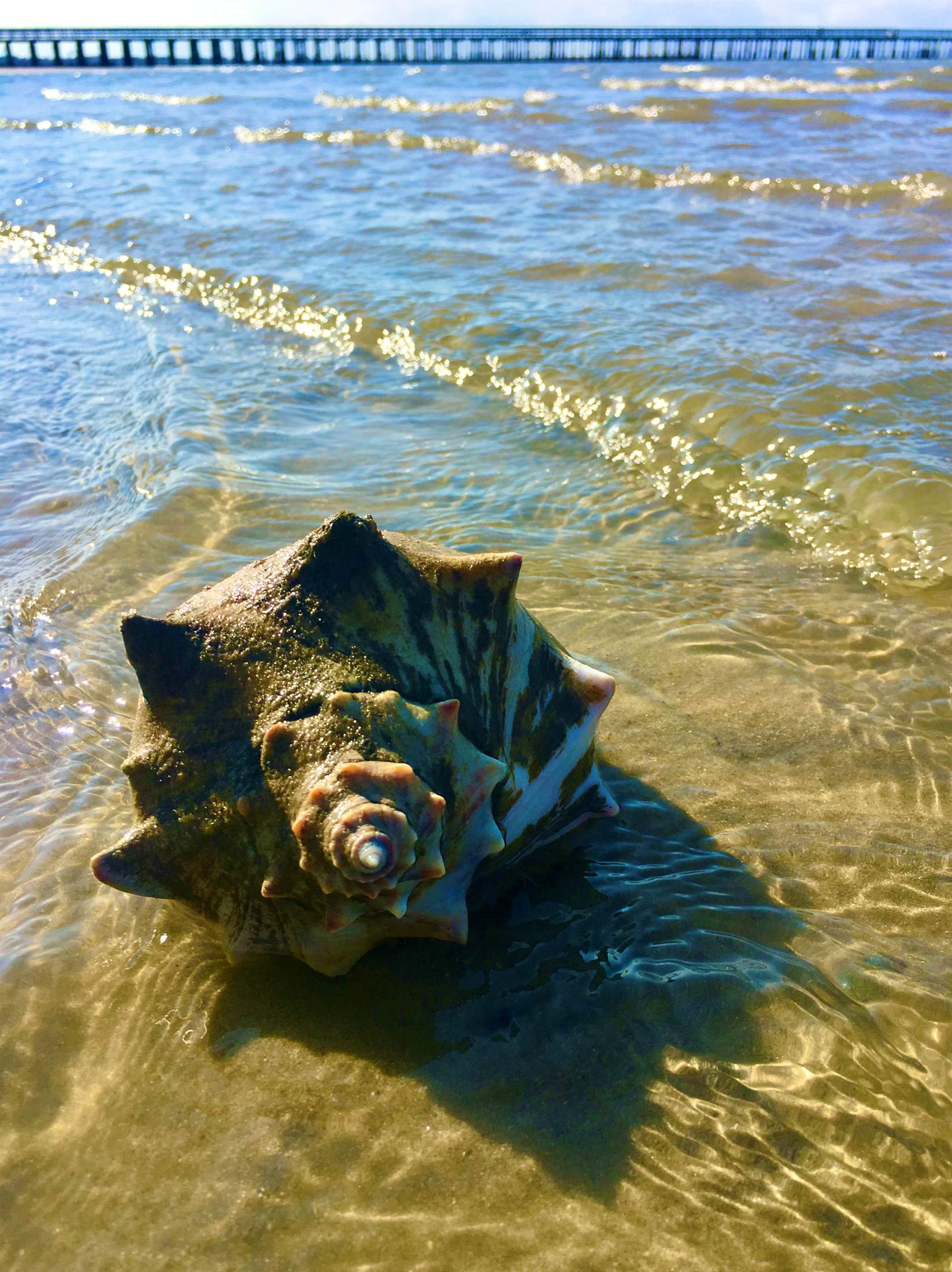 447 Bay Avenue, Milford, DE 19963