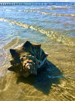 447 Bay Avenue, Milford, DE 19963