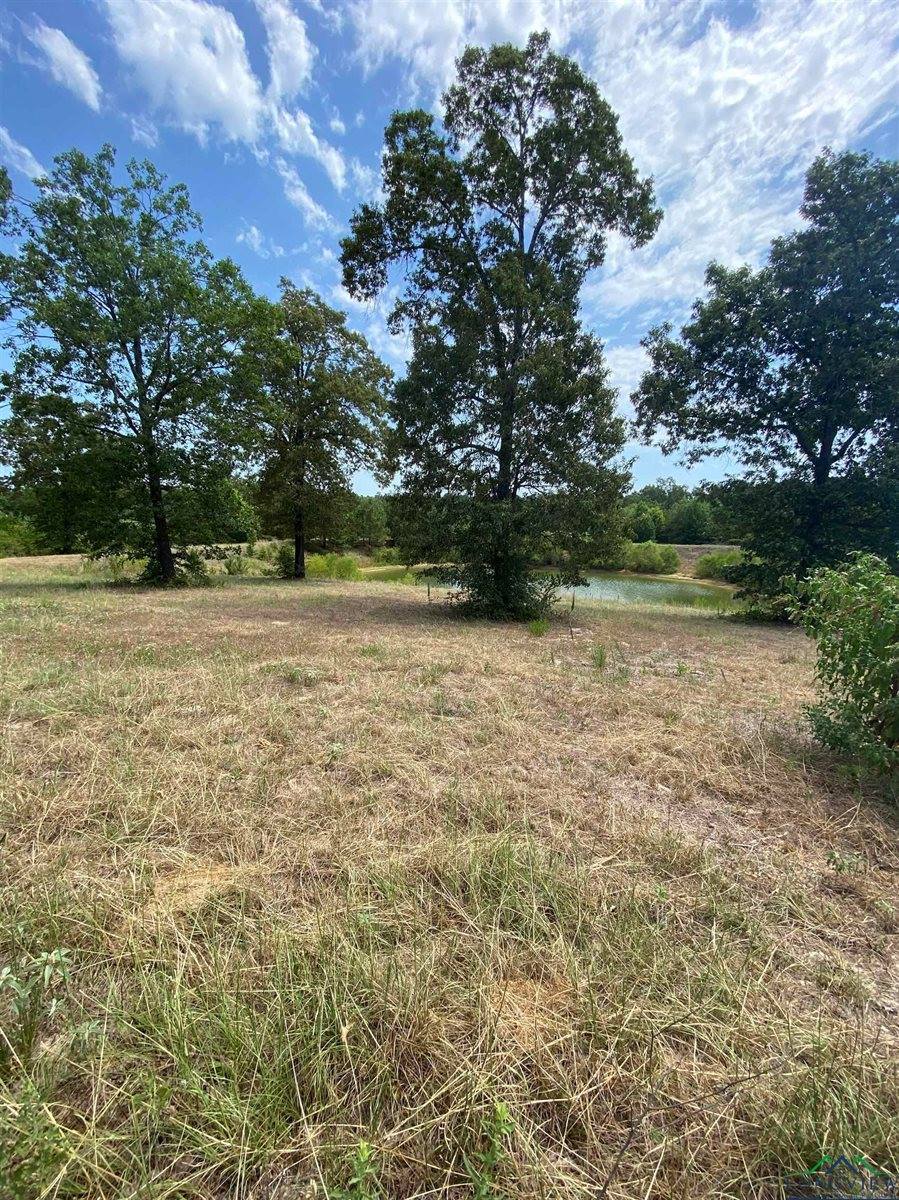 10285 County Road1617, Avinger, TX 75630