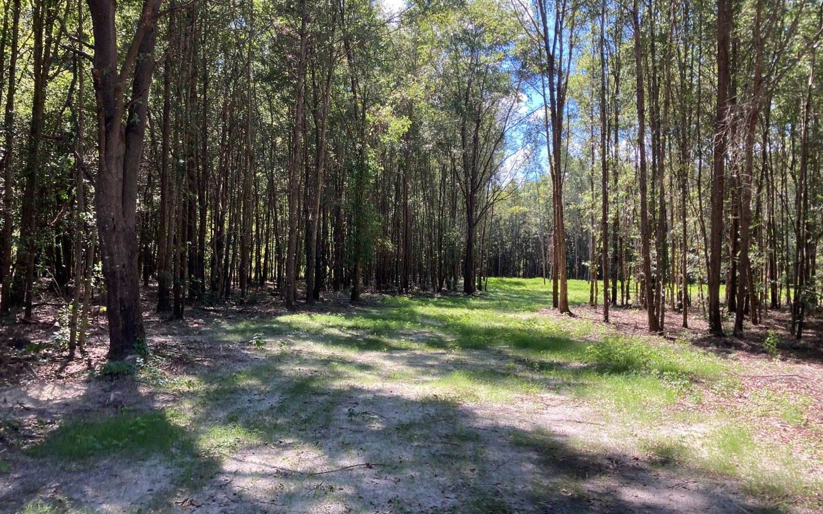 TBD SW Miracle Ct, Lake City, FL 32024