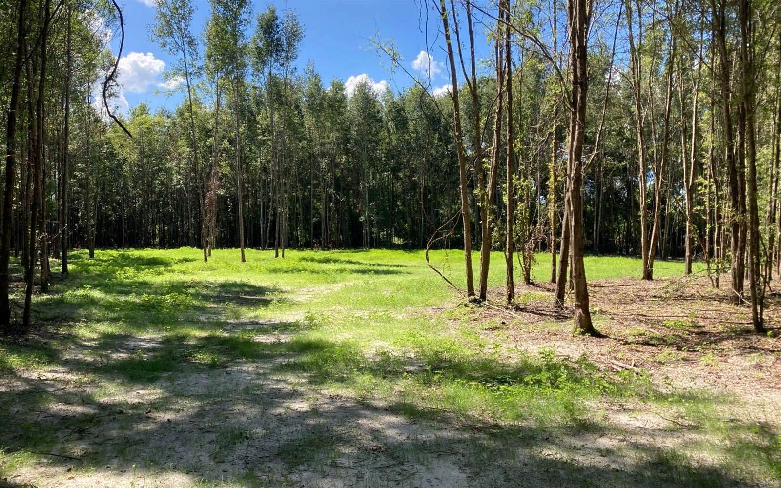 TBD SW Miracle Ct, Lake City, FL 32024