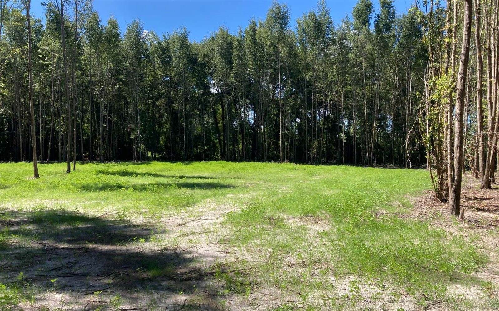 TBD SW Miracle Ct, Lake City, FL 32024