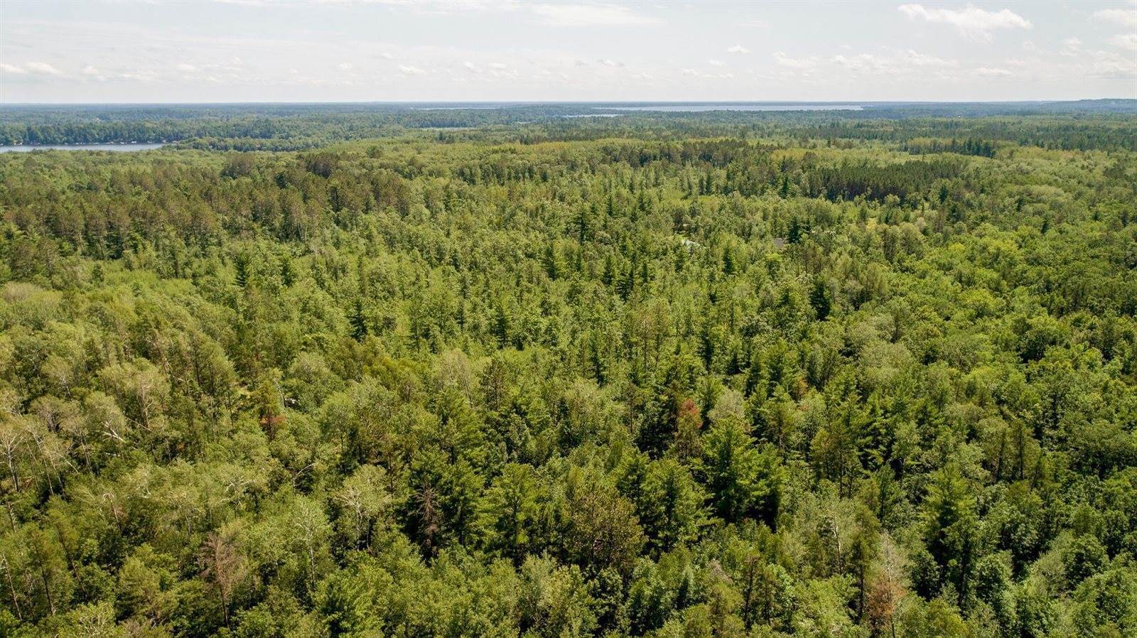 TBD Mitchell Road, Lake Shore, MN 56468