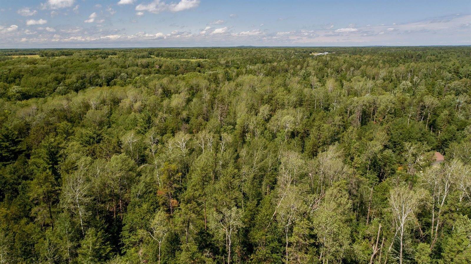 TBD Mitchell Road, Lake Shore, MN 56468